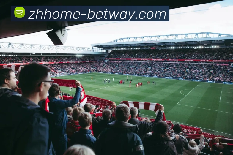 必威体育官网APP 封面图